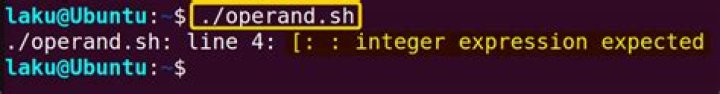 integer expression expected error when trying to run a command on each line