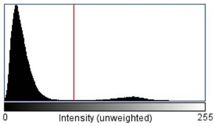 intensity plot