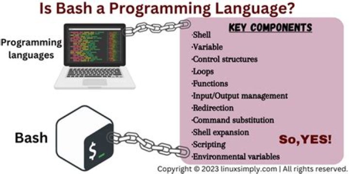 Is bash a programming language?