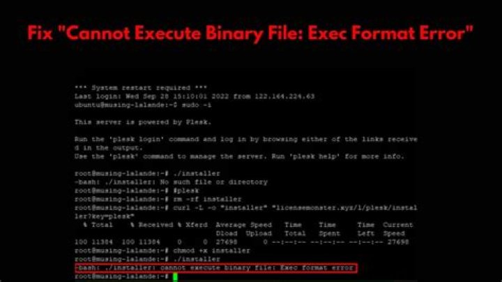 Java: cannot execute binary file?