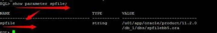 java.sql.SQLException: - ORA-01000: maximum open cursors exceeded