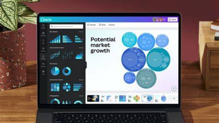 newaxis canva visualization