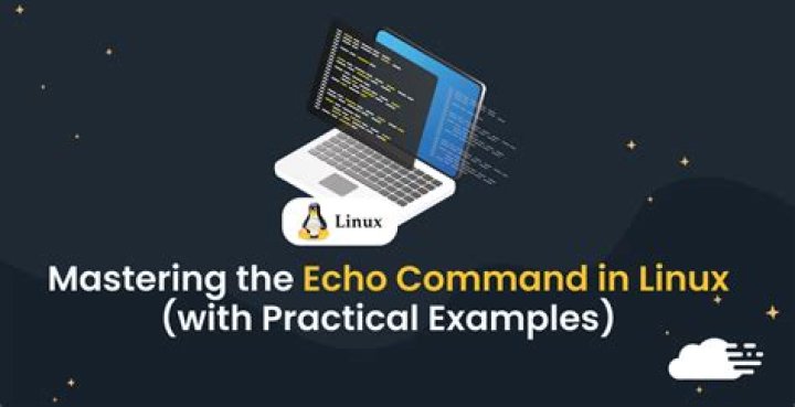 On a linux shell, what is echo $? supposed to do?