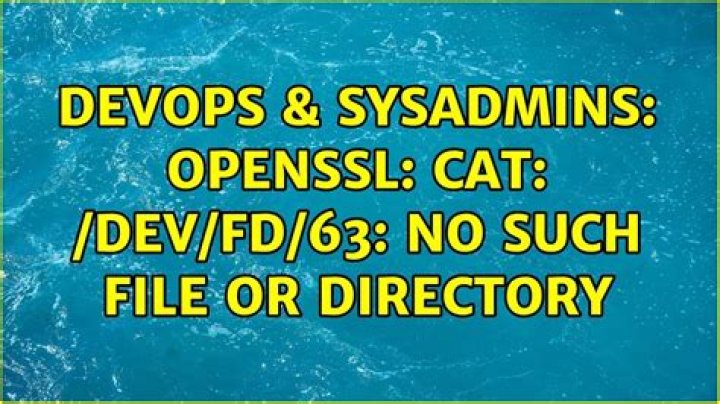 Openssl: cat: /dev/fd/63: No such file or directory