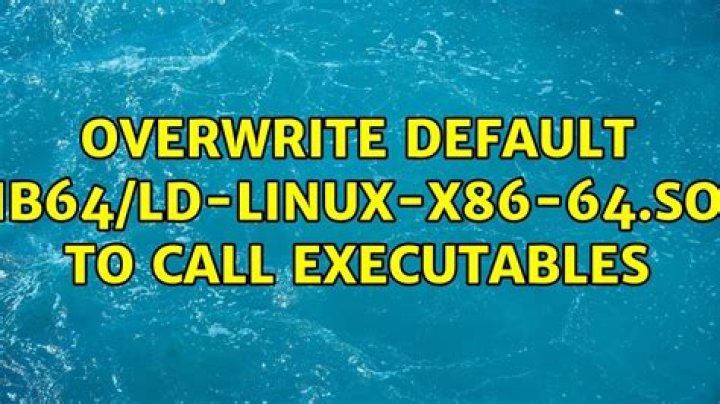 overwrite default /lib64/ld-linux-x86-64.so.2 to call executables