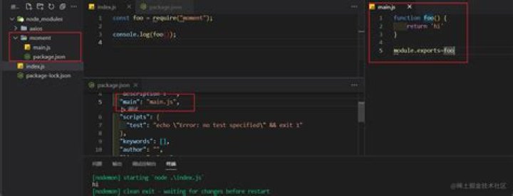 package.json