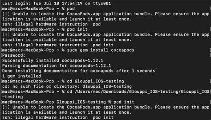 pod install -bash: pod: command not found