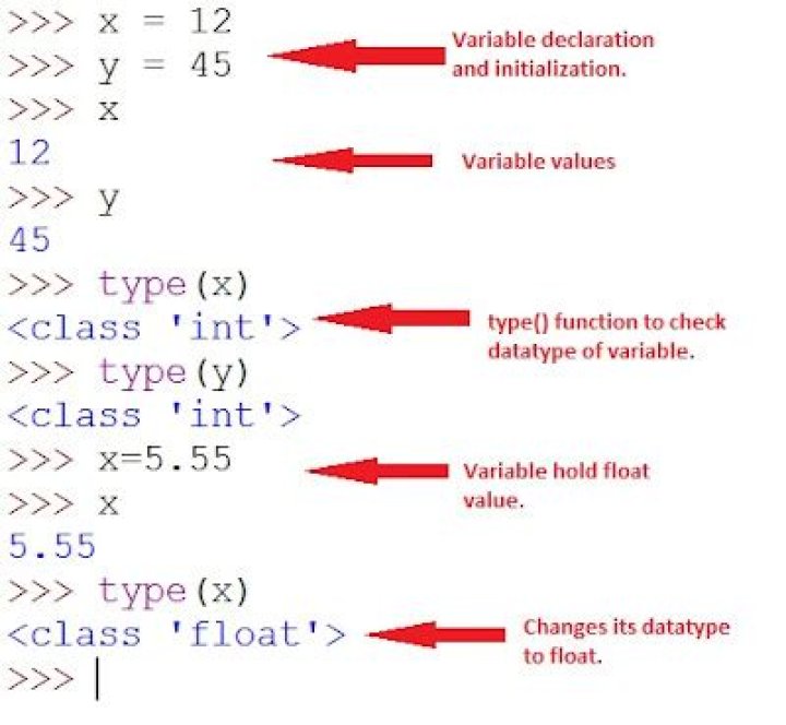 Python Variable Declaration