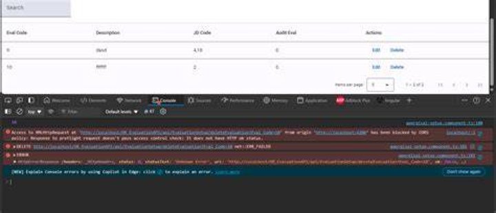 Response for preflight does not have HTTP ok status in angular