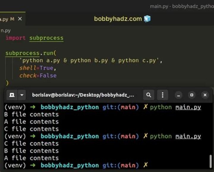 Run multiple python scripts concurrently