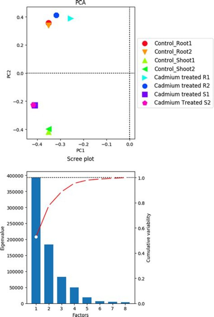 Scree Plot for Kernel PCA