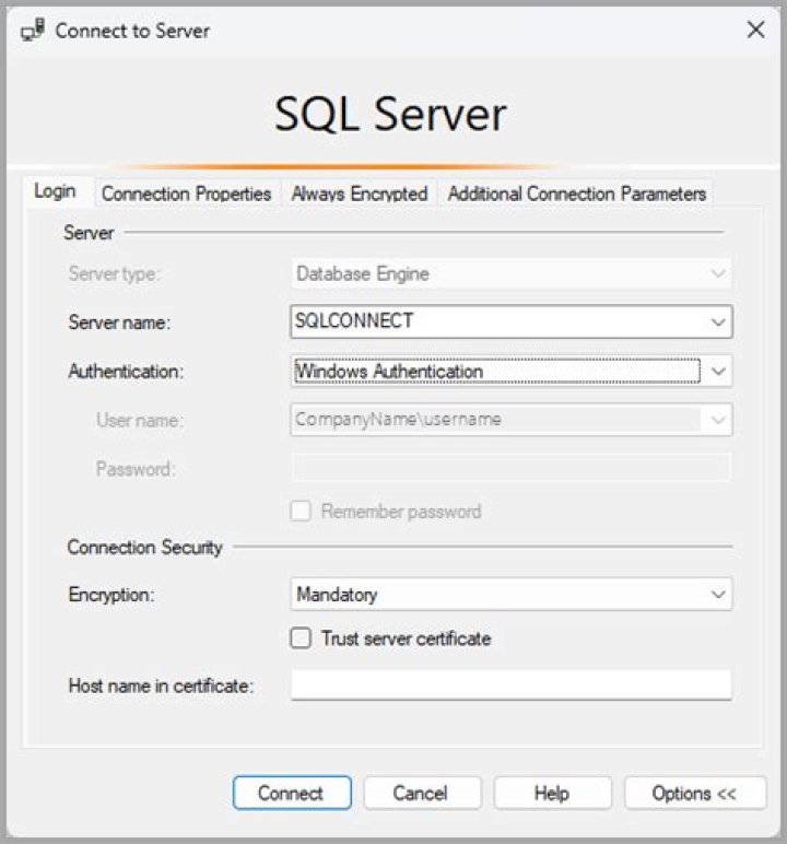 screen shot of SQL Server Management Studio