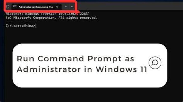 Screenshot of elevated command prompt showing disabled interfaces