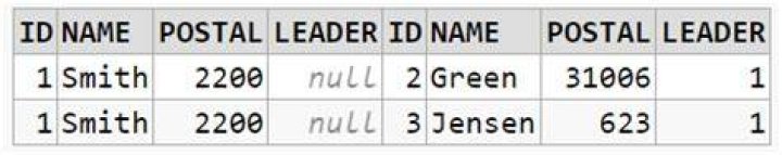 SelfJoinResult