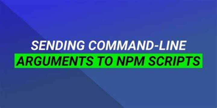 Sending command line arguments to npm script