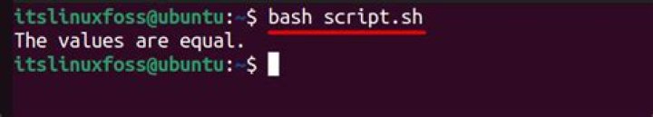 Shell equality operators (=, ==, -eq)