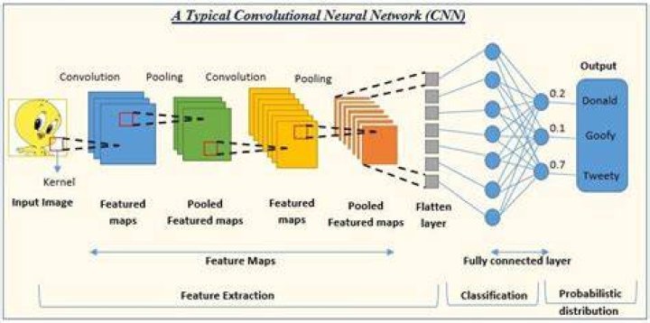 Should I use evaluate_generator or evaluate to evaluate my CNN model