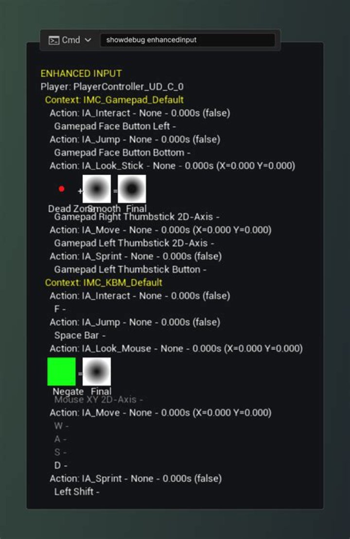 showdebug enhancedinput