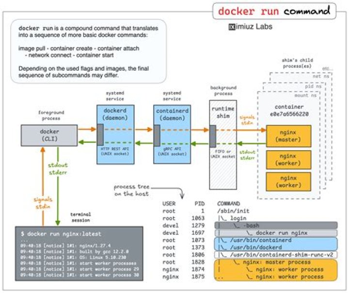 singularity run or execute command as the same as docker run