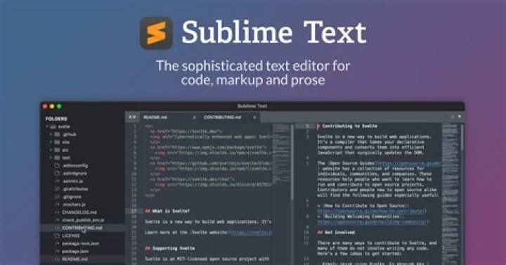 Sublime Text 3 with the WordCount plugin installed
