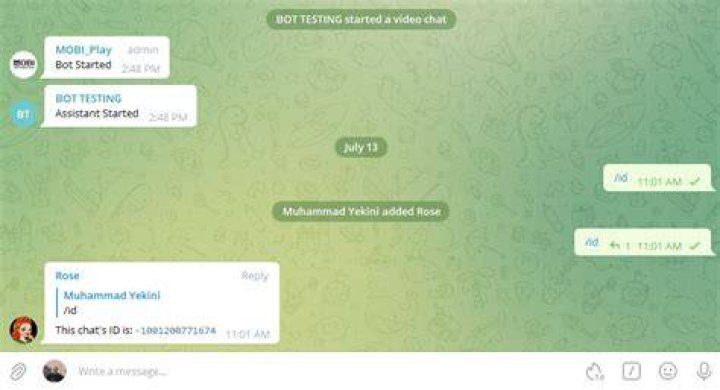 Telegram Bot - how to get a group chat id?