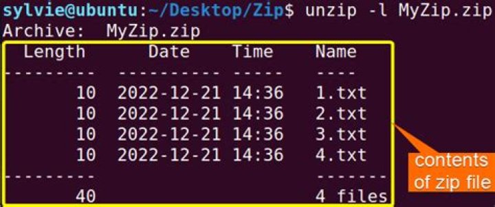 Terminal unzip outside default directory