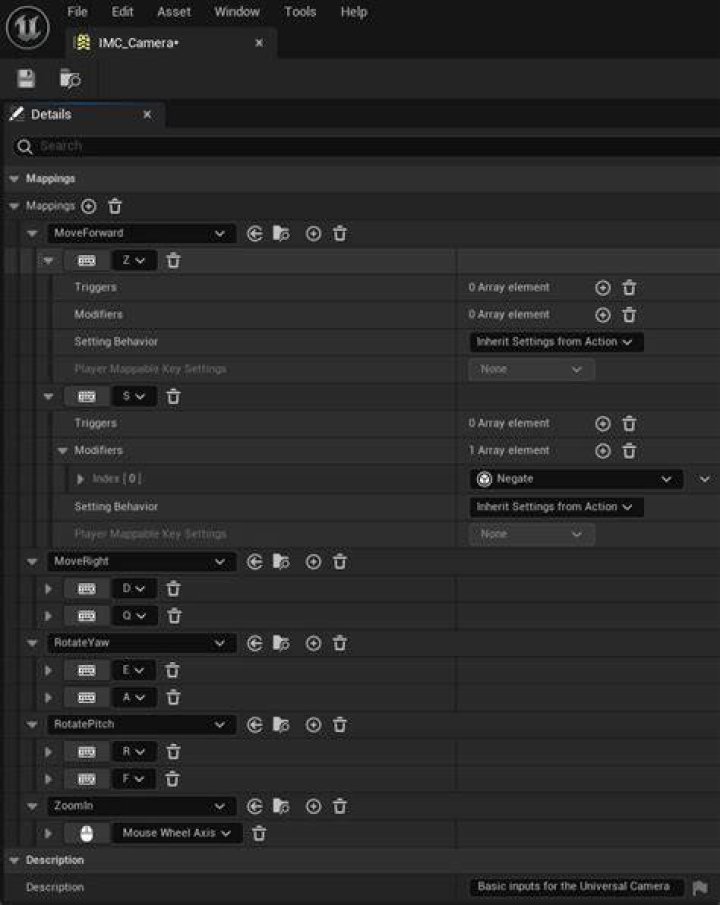 The input mapping context