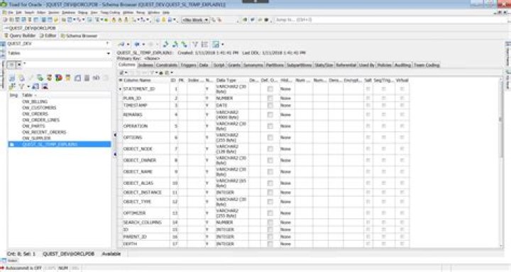 Toad output for query