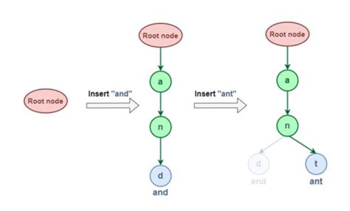 Trie complexity and searching