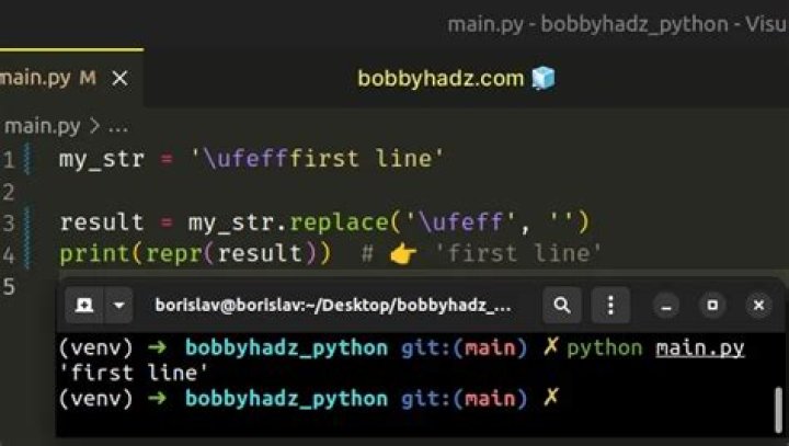 u'\ufeff' in Python string