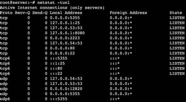 UDP port appears in netstat but not in lsof?