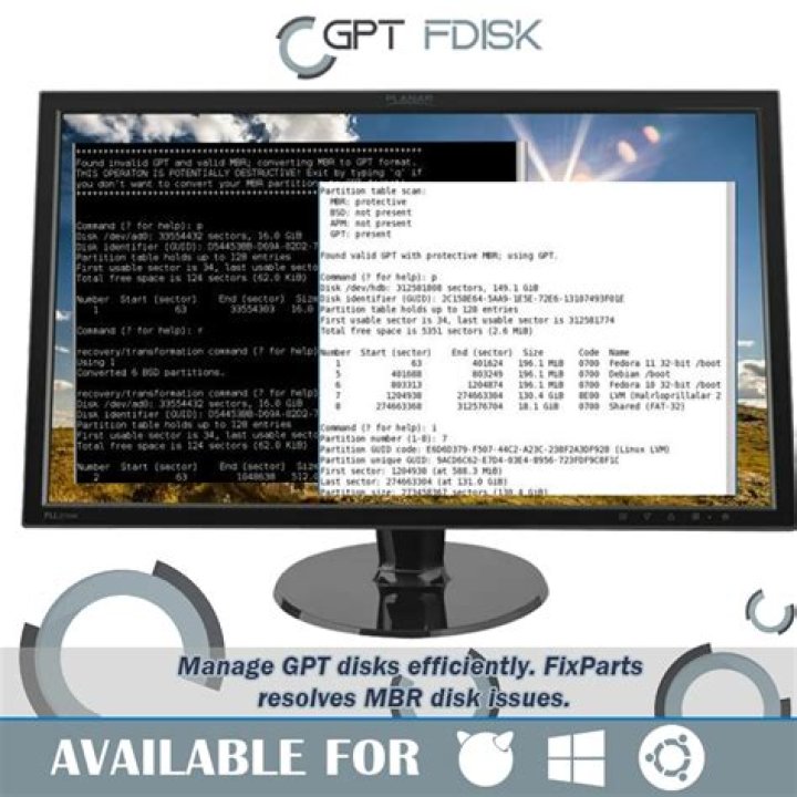 Using GPT fdisk utility produces error