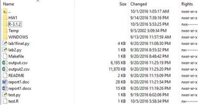 Using Rscript in Linux server