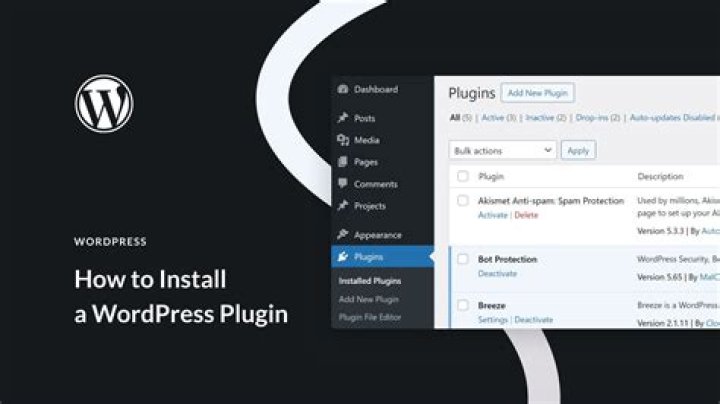 Using wordpress get_option on plugin to retrieve a text value and display it