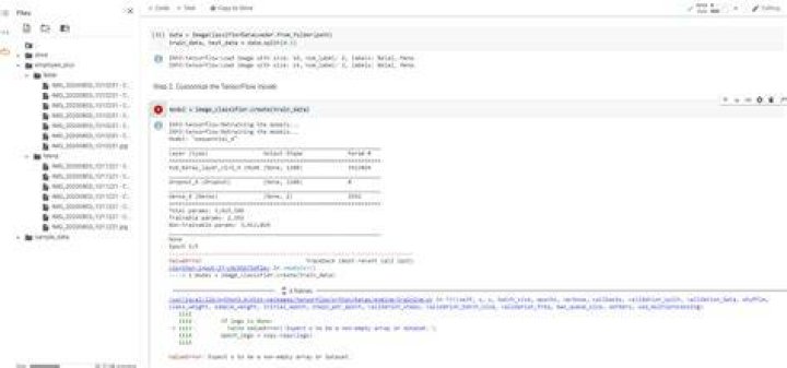 ValueError: Expect x to be a non-empty array or dataset (Tensor Flow lite model maker on Collab)