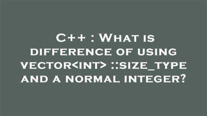 vector<int>::size_type in C++