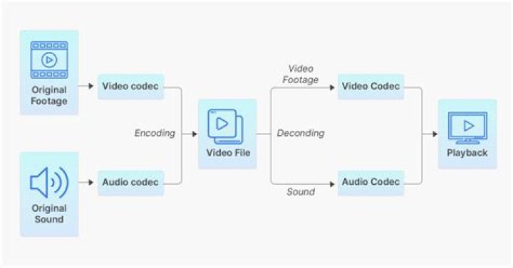 Video encoding: How much does the video file size increase with fps?