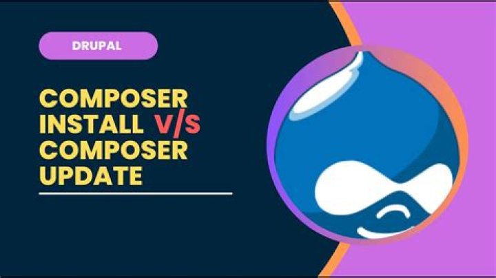 What are the differences between composer update and composer install?