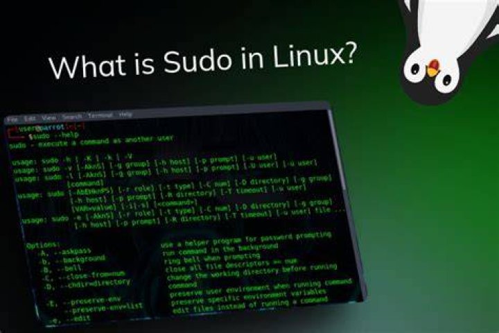 What does sudo ln -sfn do?
