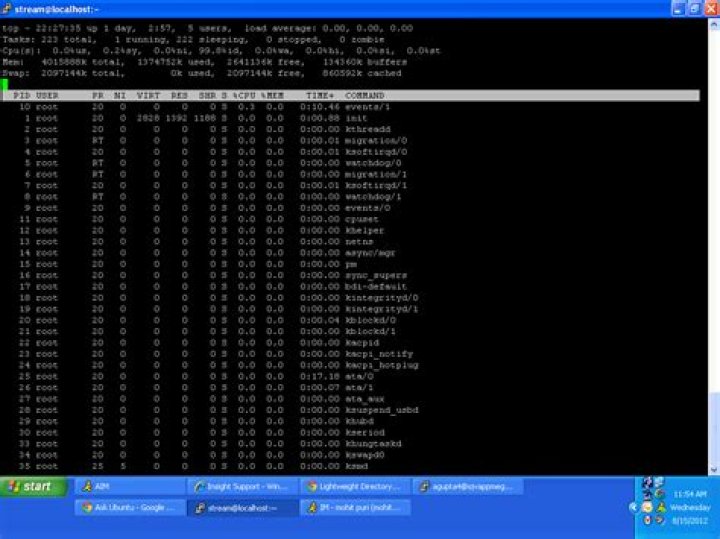 What does the 'g' mean under VIRT in 
