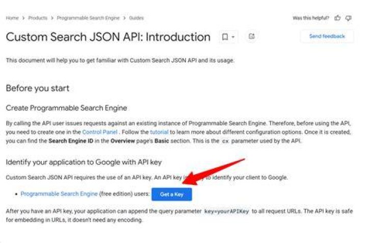 What does the linkSite option do with Google Custom Search API?