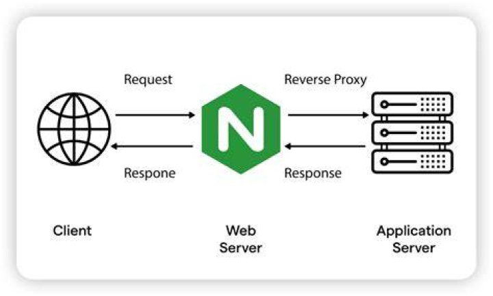What does the Resolver param in nginx do?