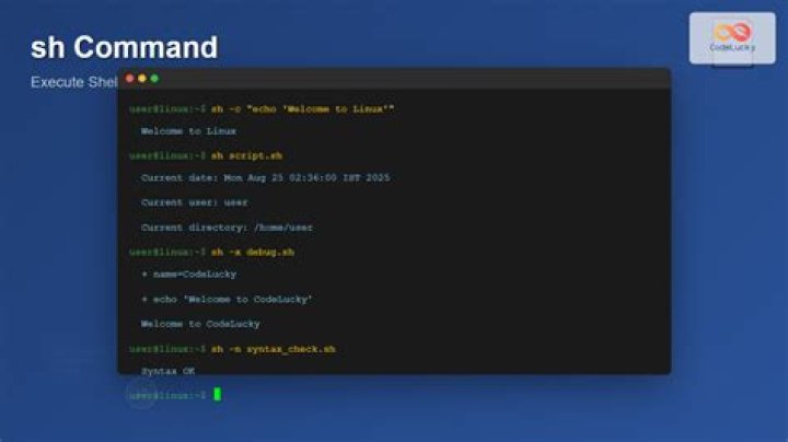 What exactly is the sh command?