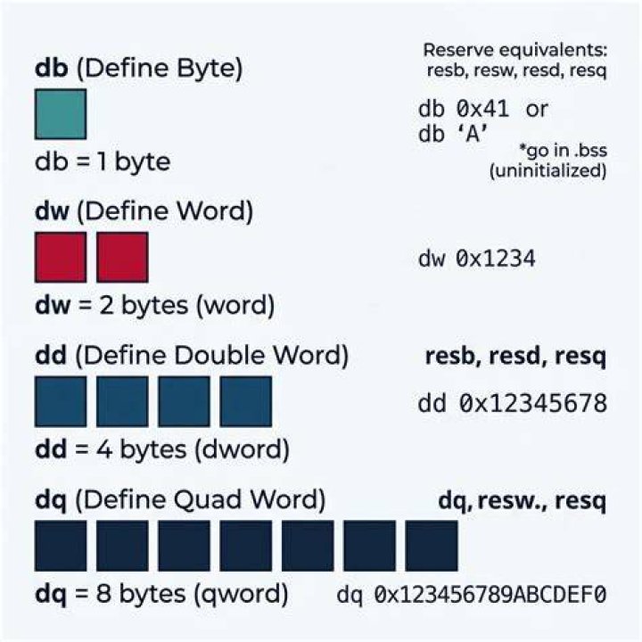 Which variable size to use (db, dw, dd) with x86 assembly?