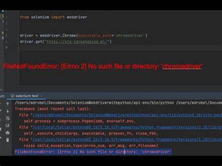 Why am I getting a “No such file or directory” error when running this script in macOS?