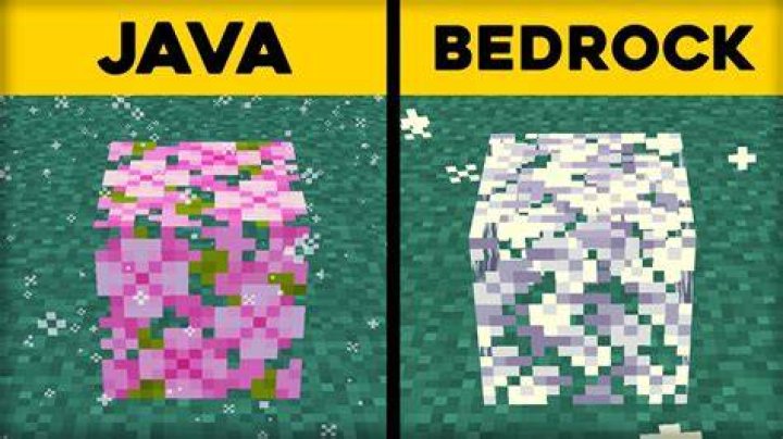 Why does Java have transient fields?