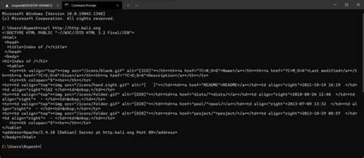 Why Installing kali linux metapackage, returns