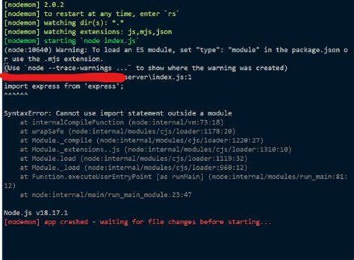Why is 'type: module' in package.json file?