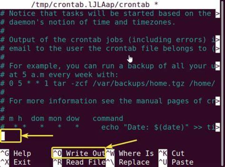 Why is my crontab not running