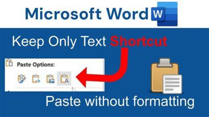 Word paste text only